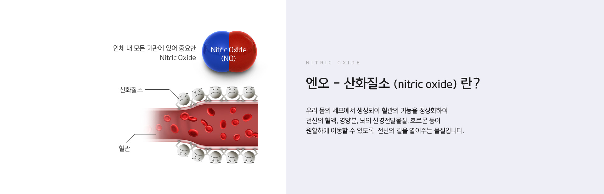 엔오 상세01