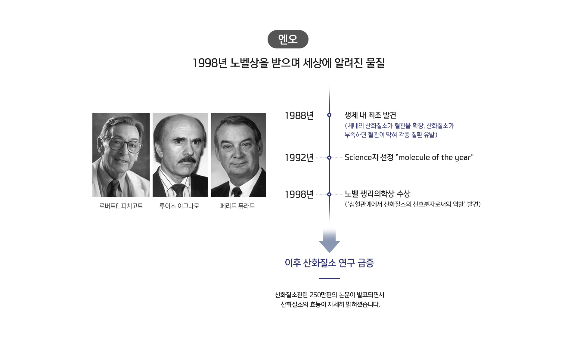 엔오 상세02