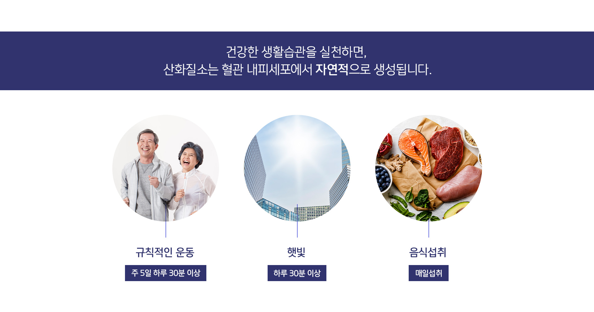엔오 상세04
