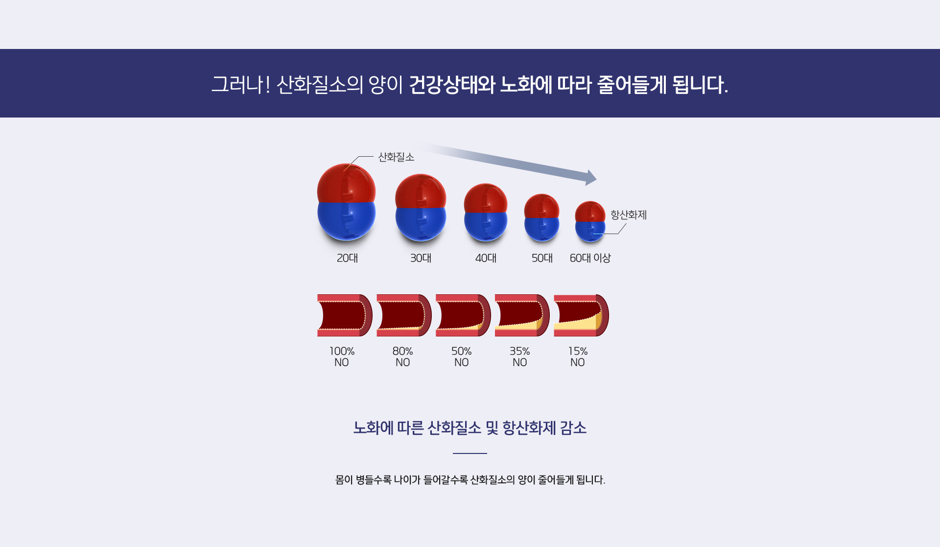 엔오 상세05