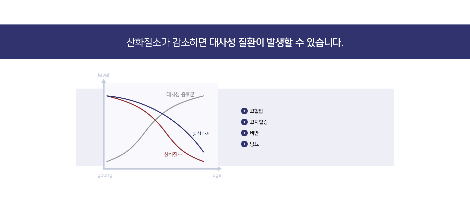 엔오 상세06