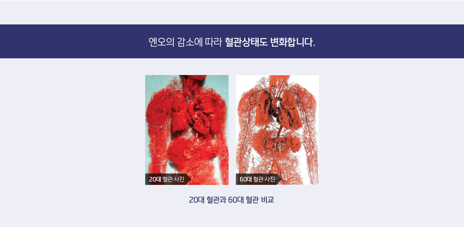 엔오 상세07