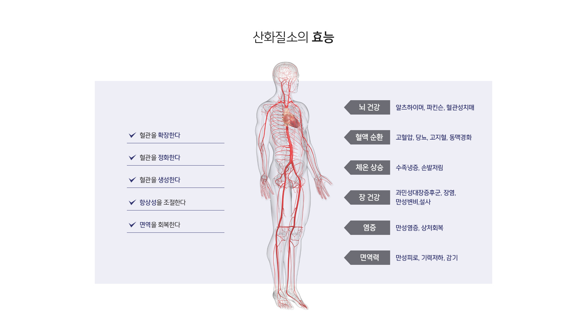 엔오 상세10